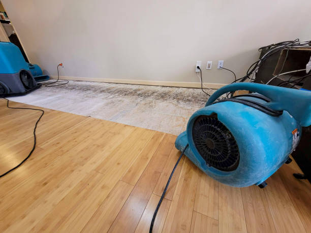Professional Water Removal technician working in Etna, NH